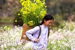 Du lịch Hà Giang
